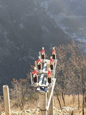 XDTZ Manufactured GW4-40.5 On Site